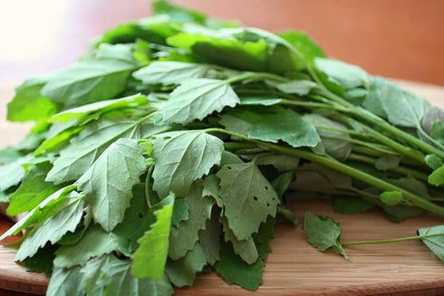 Ugrow Bathua Seeds